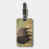 Wood Bison Bagagelabel (Voorkant verticaal)