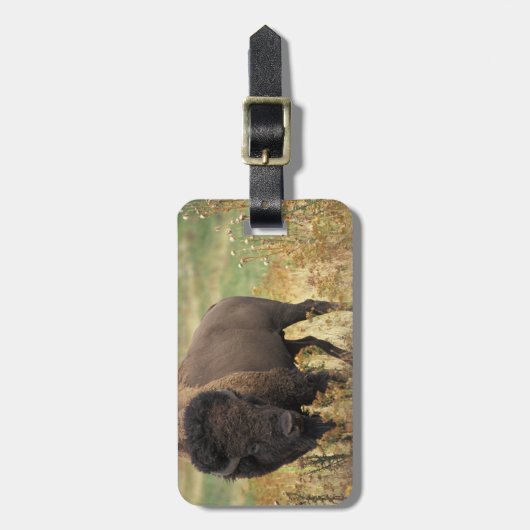 Wood Bison Bagagelabel (Voorkant verticaal)