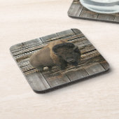 Wood Bison Bier Onderzetter (Linkerzijde)