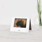Wood Bison Buffalo Bedankkaart (Achterkant)