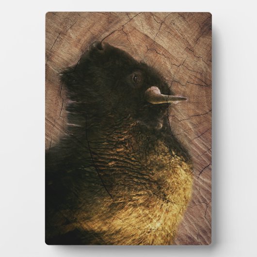 Wood Bison Buffalo Fotoplaat (voorkant)