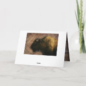 Wood Bison Buffalo Kaart (Achterkant)