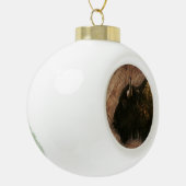 Wood Bison Buffalo Keramische Bal Ornament (Links)