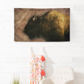 Wood Bison Buffalo Spandoek (Insitu)