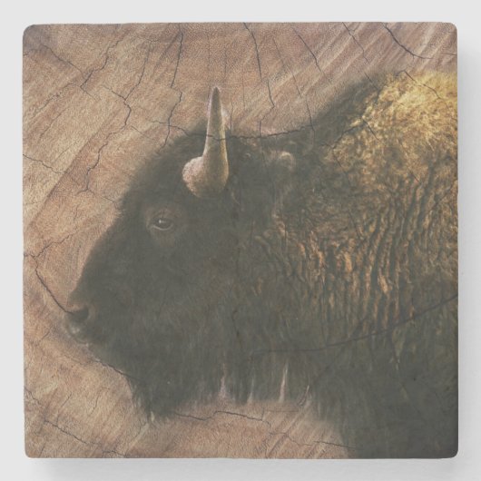 Wood Bison Buffalo Stenen Onderzetter (Voorkant)