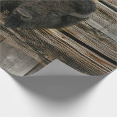 Wood Bison Cadeaupapier (Hoek)