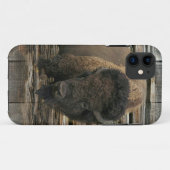Wood Bison Case-Mate iPhone Case (Achterkant (horizontaal))