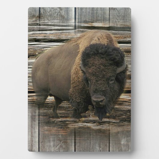 Wood Bison Fotoplaat (voorkant)