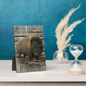 Wood Bison Fotoplaat (Zijkant)