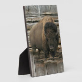 Wood Bison Fotoplaat (Zijkant)