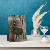 Wood Bison Fotoplaat (Zijkant)