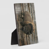 Wood Bison Fotoplaat (Zijkant)