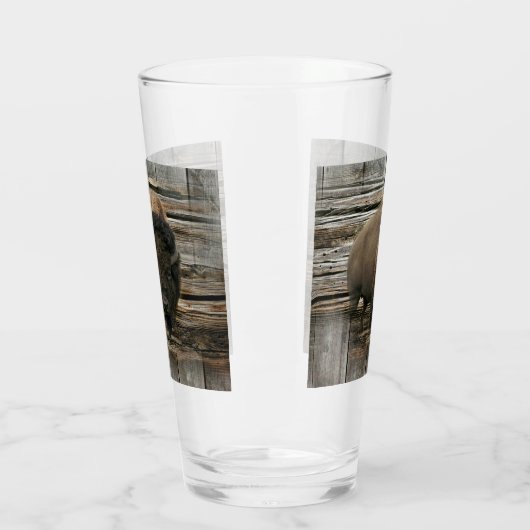 Wood Bison Glas (Links)