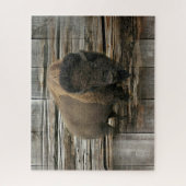Wood Bison Legpuzzel (Verticaal)