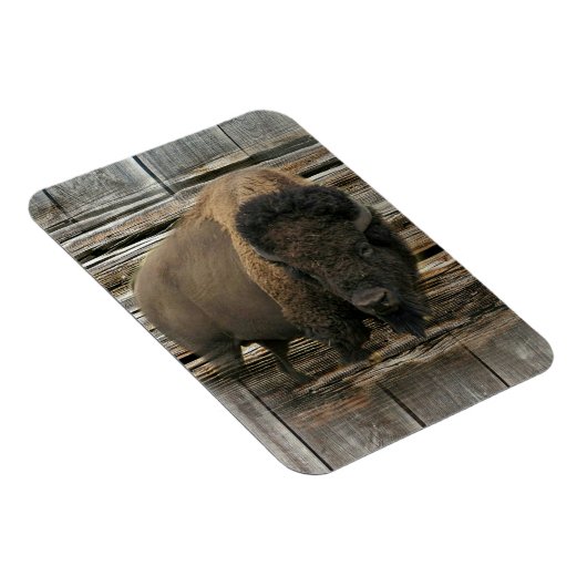 Wood Bison Magneet (Rechterzijde)