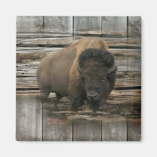 Wood Bison Magneet (Voorkant)