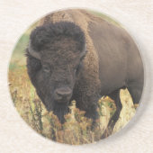 Wood Bison Onderzetter (Voorkant)