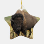 Wood Bison Ornament (Voorkant)