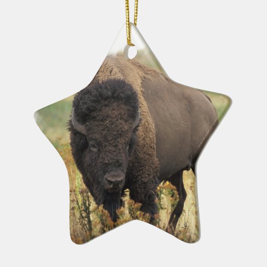 Wood Bison Ornament (Links)