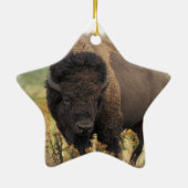 Wood Bison Ornament (Achterkant)
