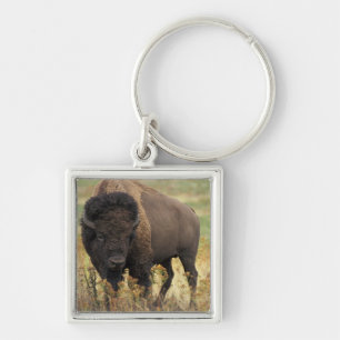 Wood Bison Sleutelhanger