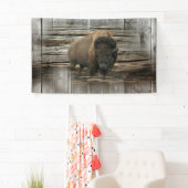 Wood Bison Spandoek (Insitu)