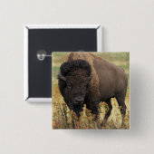 Wood Bison Square Pin Vierkante Button 5,1 Cm (Voorkant /achterkant)