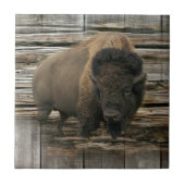 Wood Bison Tegeltje (Voorkant)