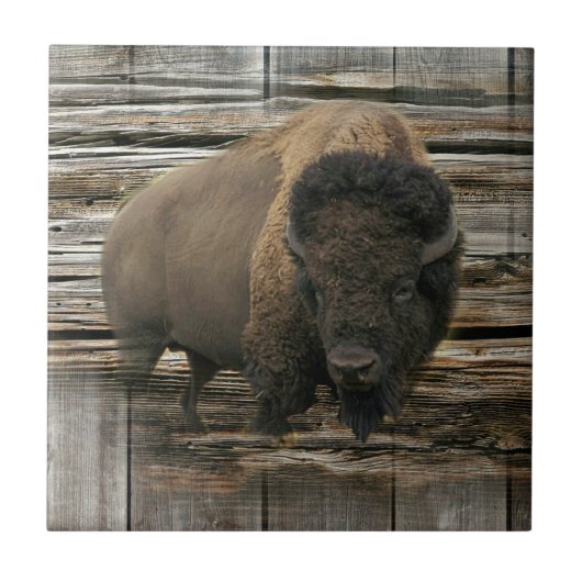 Wood Bison Tegeltje (Voorkant)