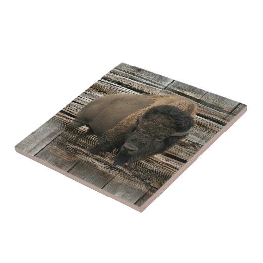 Wood Bison Tegeltje (Zijkant)