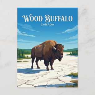 Wood Buffalo National Park Canada Briefkaart