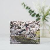 Wood Duck Briefkaart (Staand voorkant)