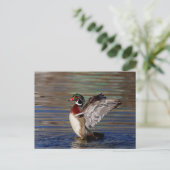 Wood Duck Briefkaart (Staand voorkant)