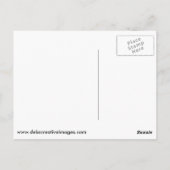 Wood Duck Briefkaart (Achterkant)