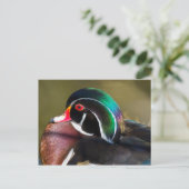 Wood Duck Briefkaart (Staand voorkant)