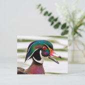 Wood Duck Briefkaart (Staand voorkant)
