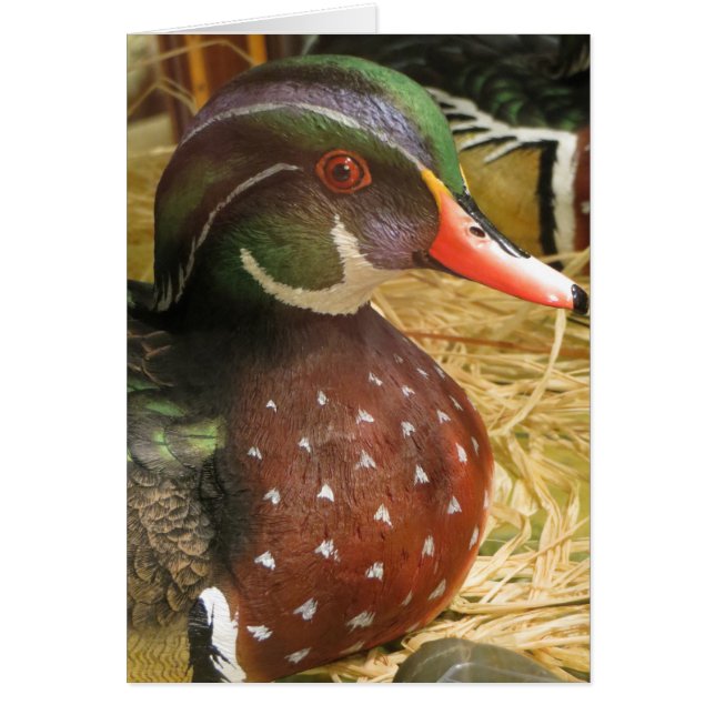 Wood Duck Decoy (Voorkant)