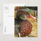 Wood Duck Decoy Briefkaart (Voorkant / Achterkant)