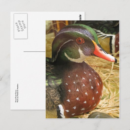 Wood Duck Decoy Briefkaart (Voorkant / Achterkant)