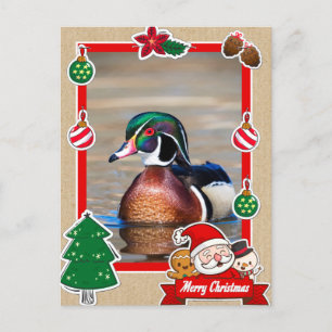 Wood Duck Drake Christmas Kaart