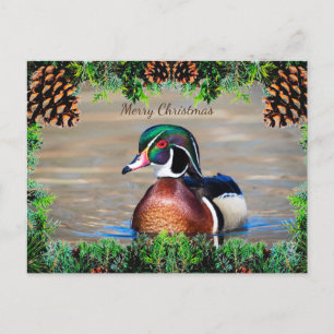 Wood Duck Drake Christmas Kaart