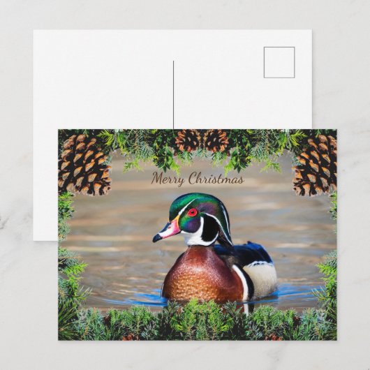 Wood Duck Drake Christmas Kaart (Voorkant / Achterkant)