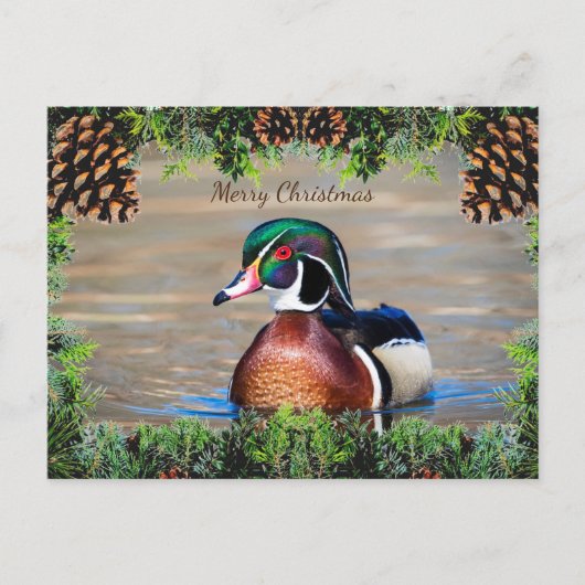 Wood Duck Drake Christmas Kaart (Voorkant)
