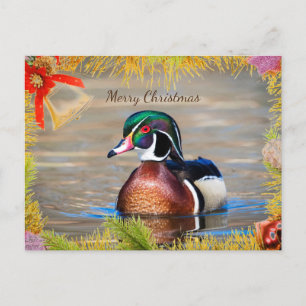 Wood Duck Drake Christmas Kaart