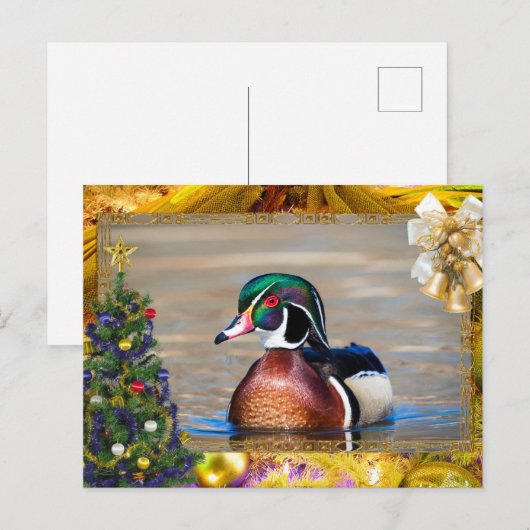 Wood Duck Drake Christmas Kaart (Voorkant / Achterkant)