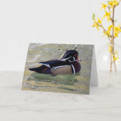 Wood Duck Drake Kaart (Gele Bloem)