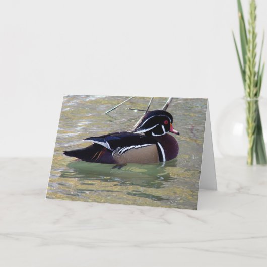 Wood Duck Drake Kaart (Voorkant)