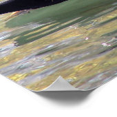 Wood Duck Drake Poster (Hoek)