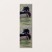 Wood Duck Drake Visitekaartje (Binnenkant ongevouwen)