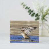 Wood Duck flapte haar vleugels Briefkaart (Staand voorkant)
